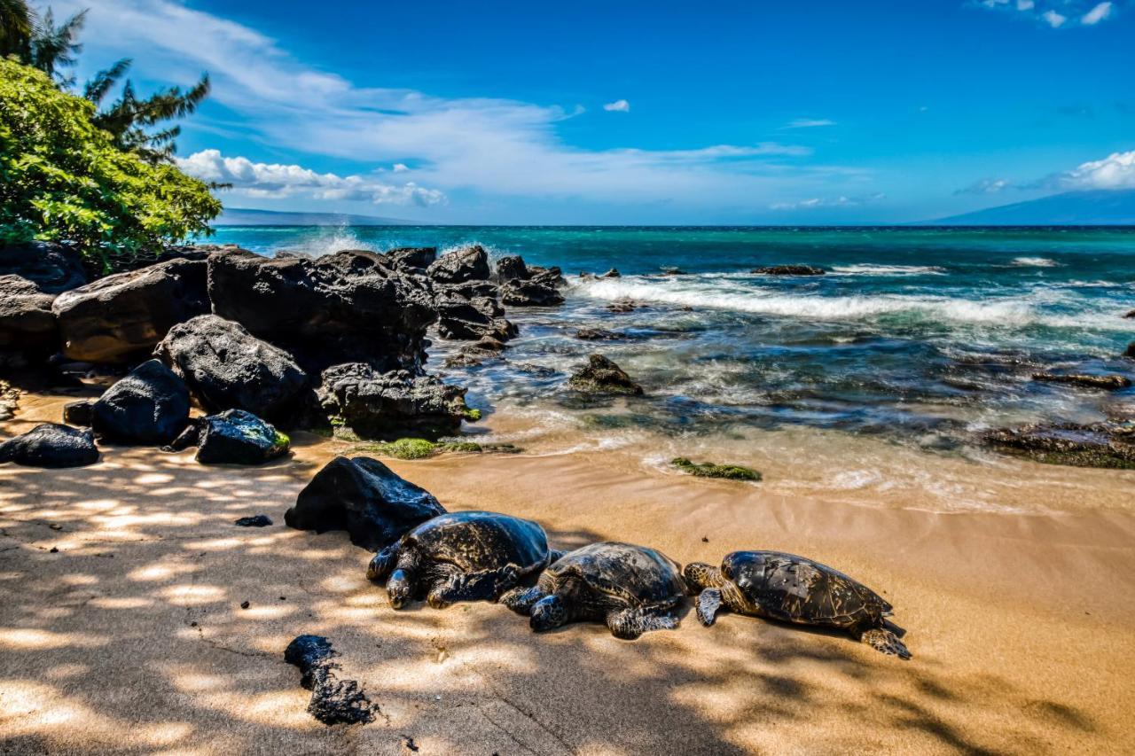 Mahina Surf I Villa Napili-Honokowai Cameră foto